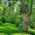 Bed & Breakfast Knipnaes Rosengarden *