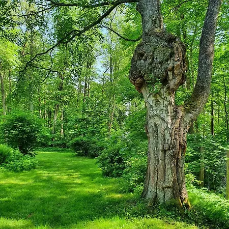 Bed and breakfast Knipnaes Rosengarden *