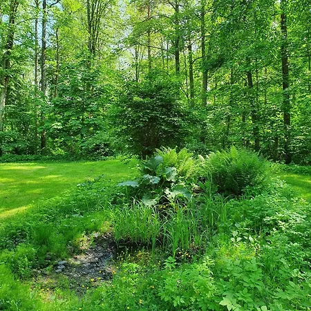 Knipnaes Rosengarden *
