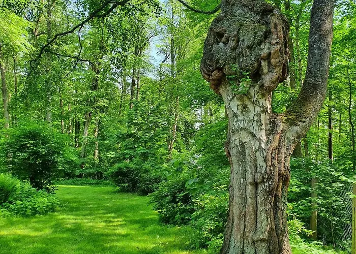 Bed & Breakfast Knipnaes Rosengarden *