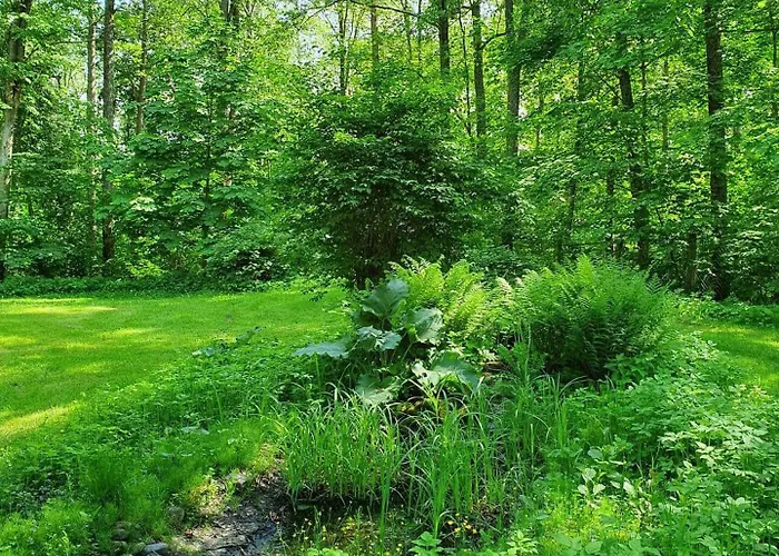 Knipnaes Rosengarden *